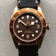Tudor Black Bay Bronze
