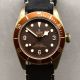 Tudor Black Bay Bronze